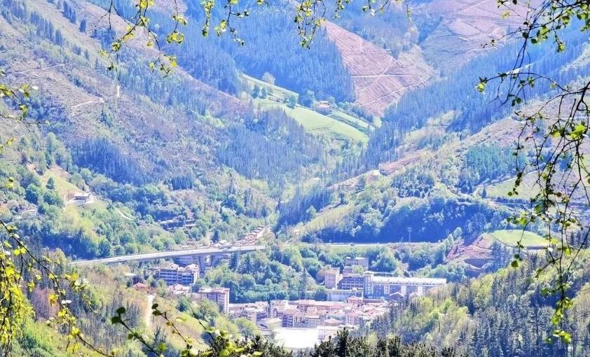 Reforestacion bosques Eibar